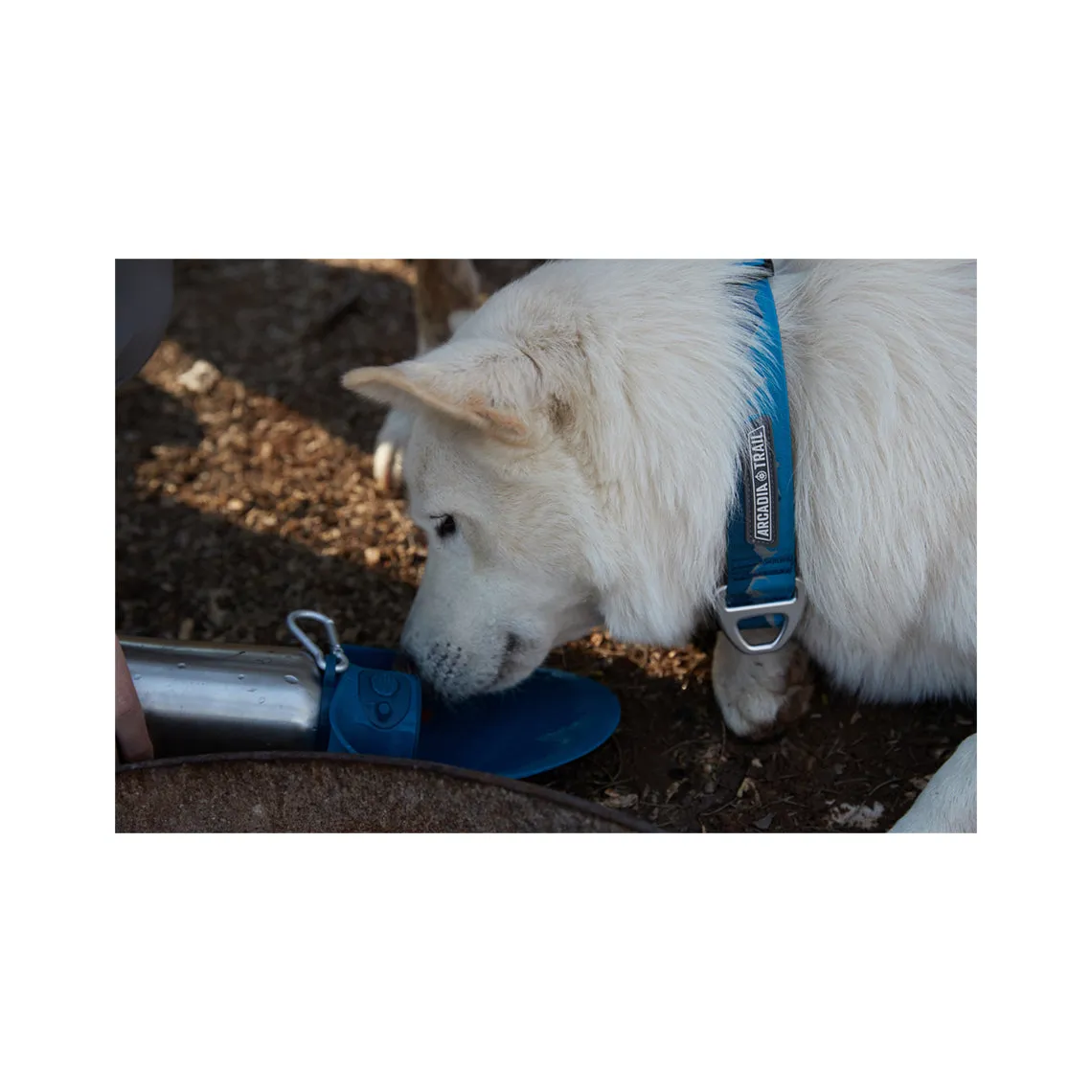 Arcadia Trail 2-IN-1 Water Bottle with Bowl