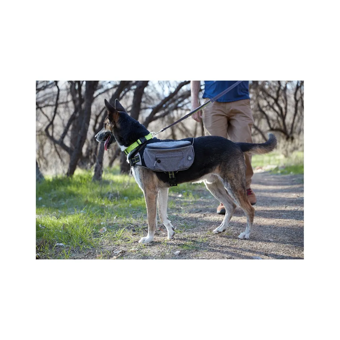 Arcadia Trail 2-IN-1 Water Bottle with Bowl