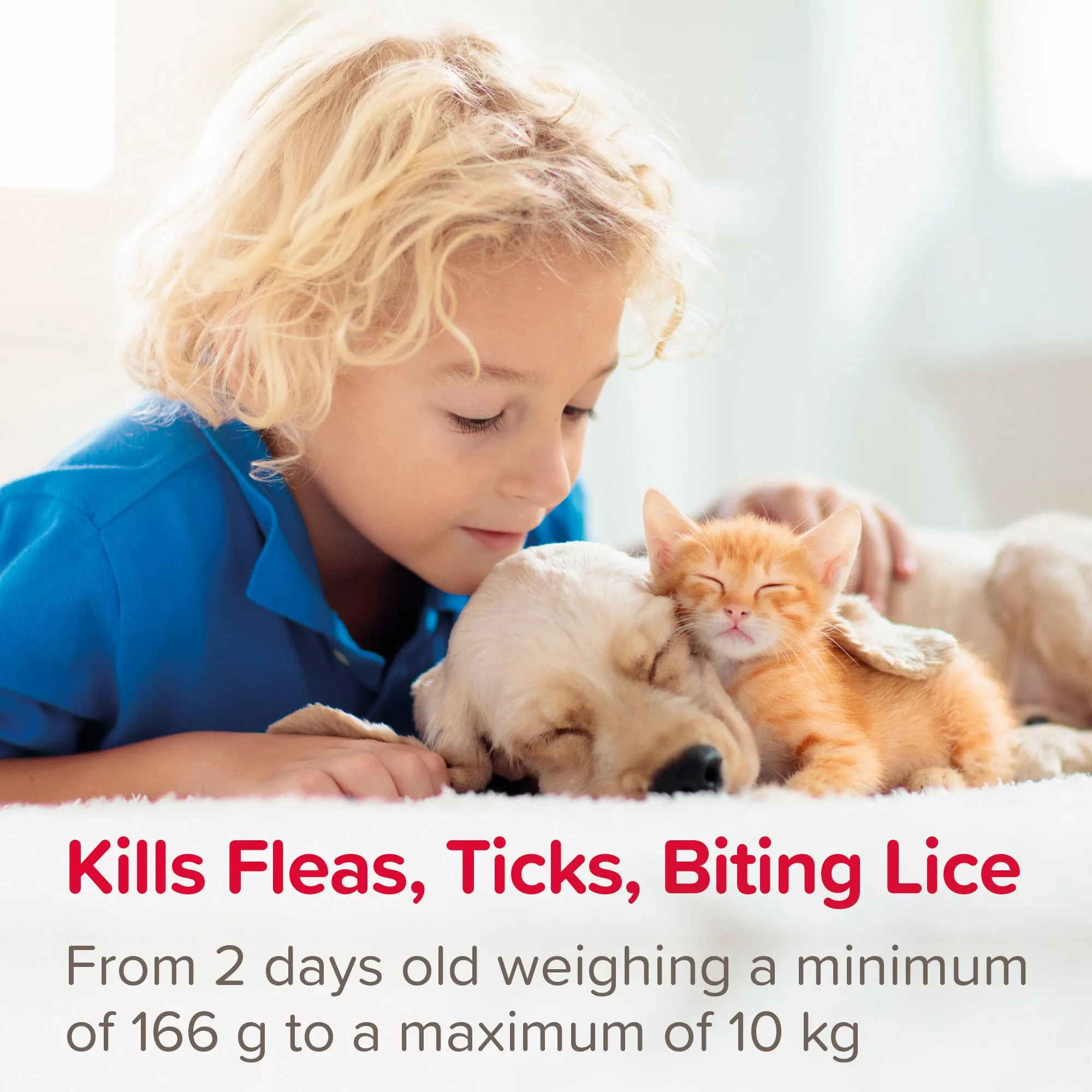 Beaphar FIPROtec® Flea & Tick Spray for Cats & Dogs 100ml