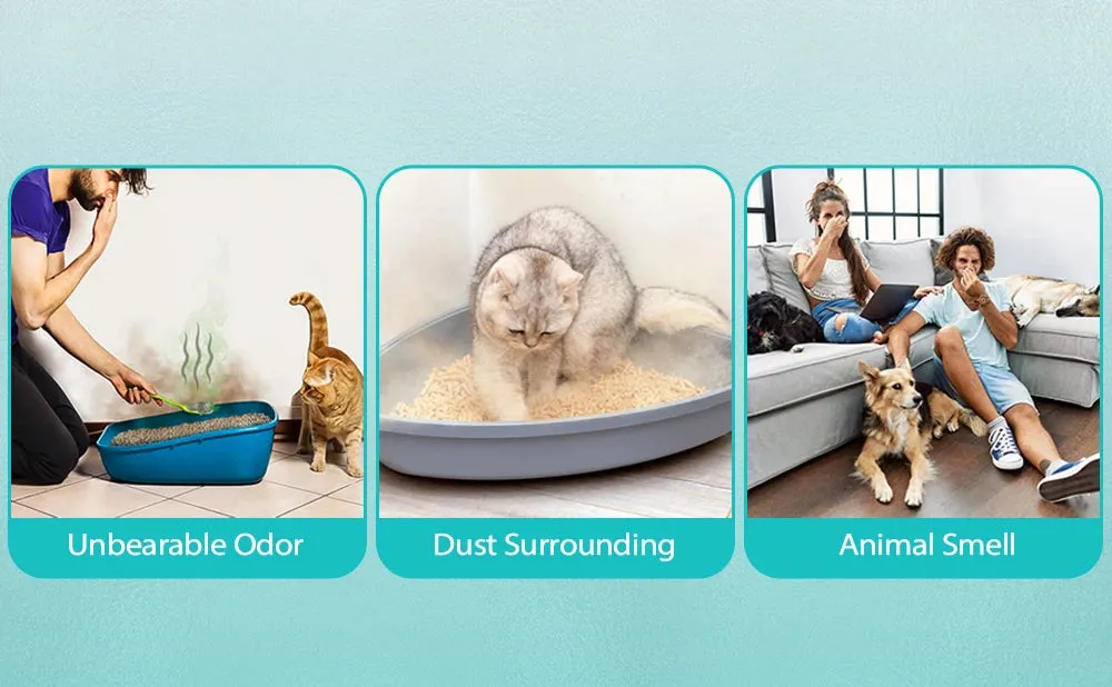 Cat Odor Purifier 4000mAh Smart Cat Odor Purifier For Cat Litter Box Deodorizer
