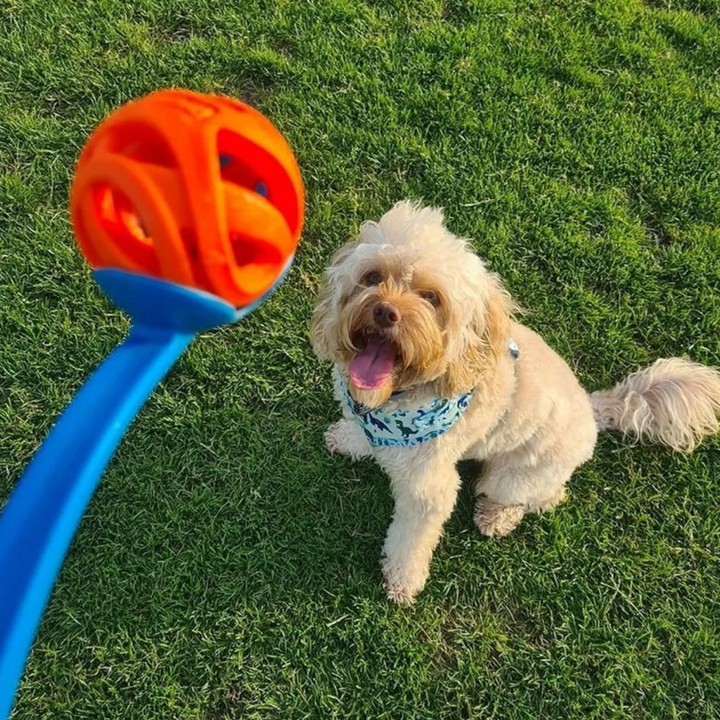 Chuckit! Breathe Air Fetch Ball Toy For Dogs - 2-Pack