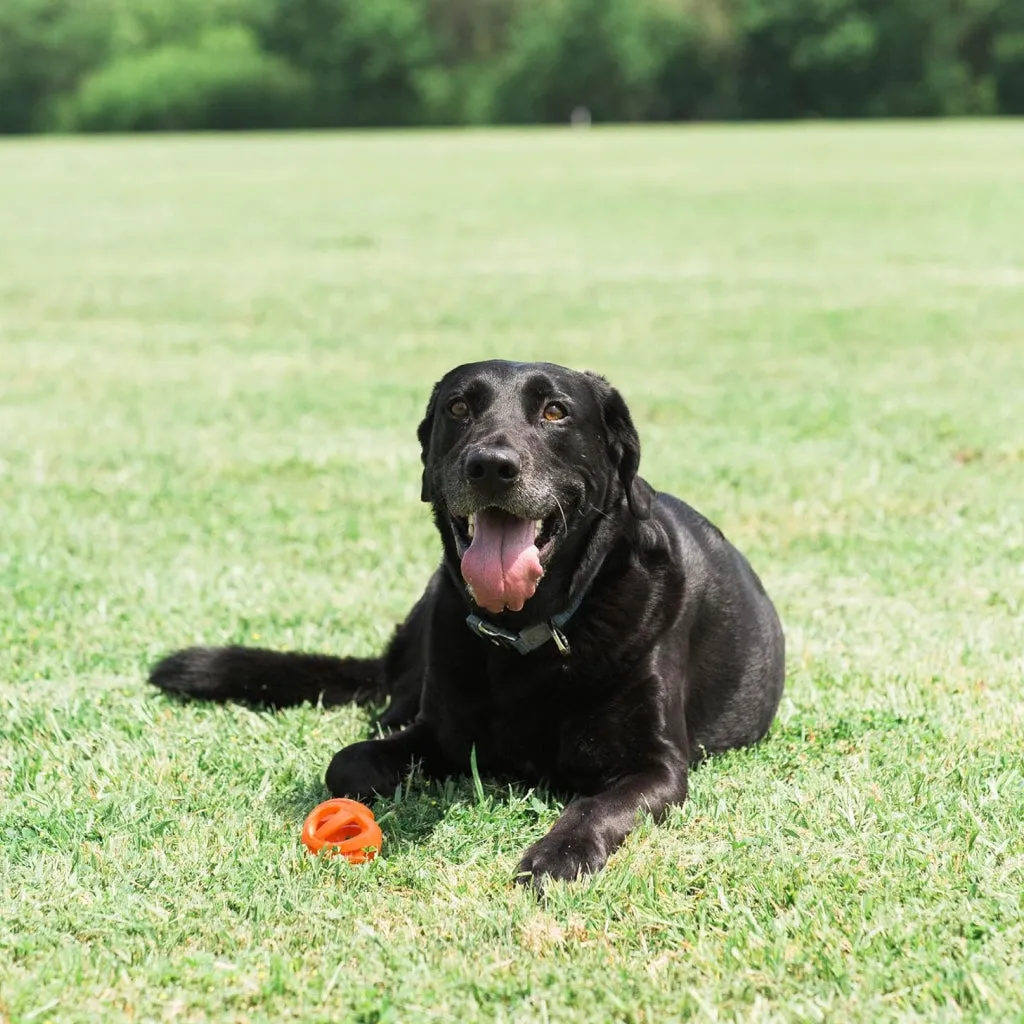 Chuckit! Breathe Air Fetch Ball Toy For Dogs - 2-Pack