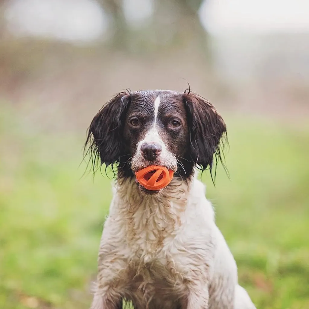 Chuckit! Breathe Air Fetch Ball Toy For Dogs - 2-Pack