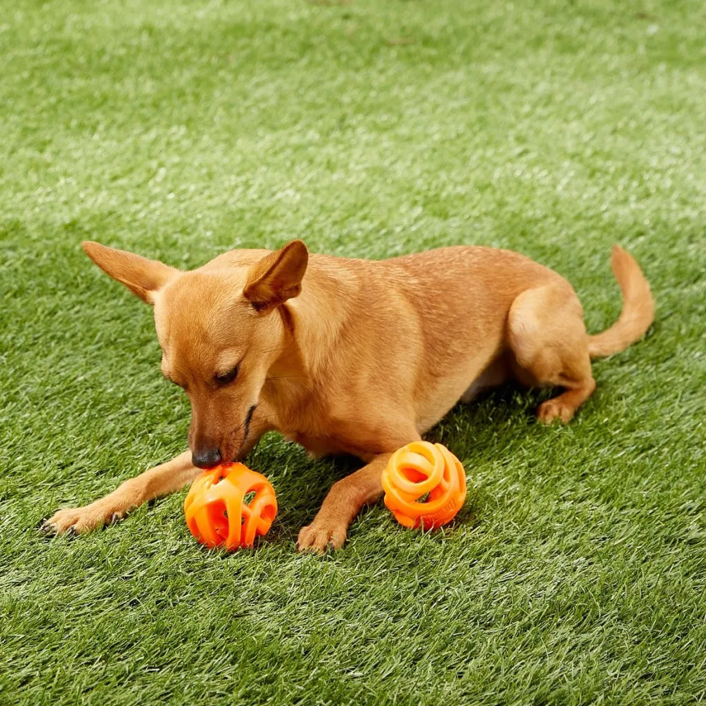Chuckit! Breathe Air Fetch Ball Toy For Dogs - 2-Pack
