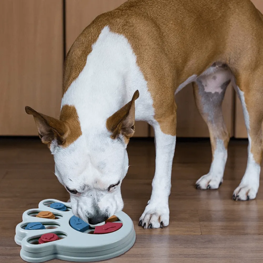 Emily Pets Intelligence Food Treated Puzzle Toy for Dogs and Cats (Blue)