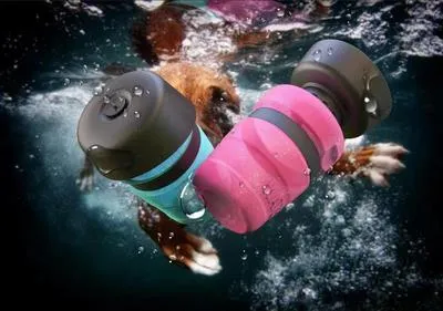 Foldable Bowl Travel Water Bottle for Dogs
