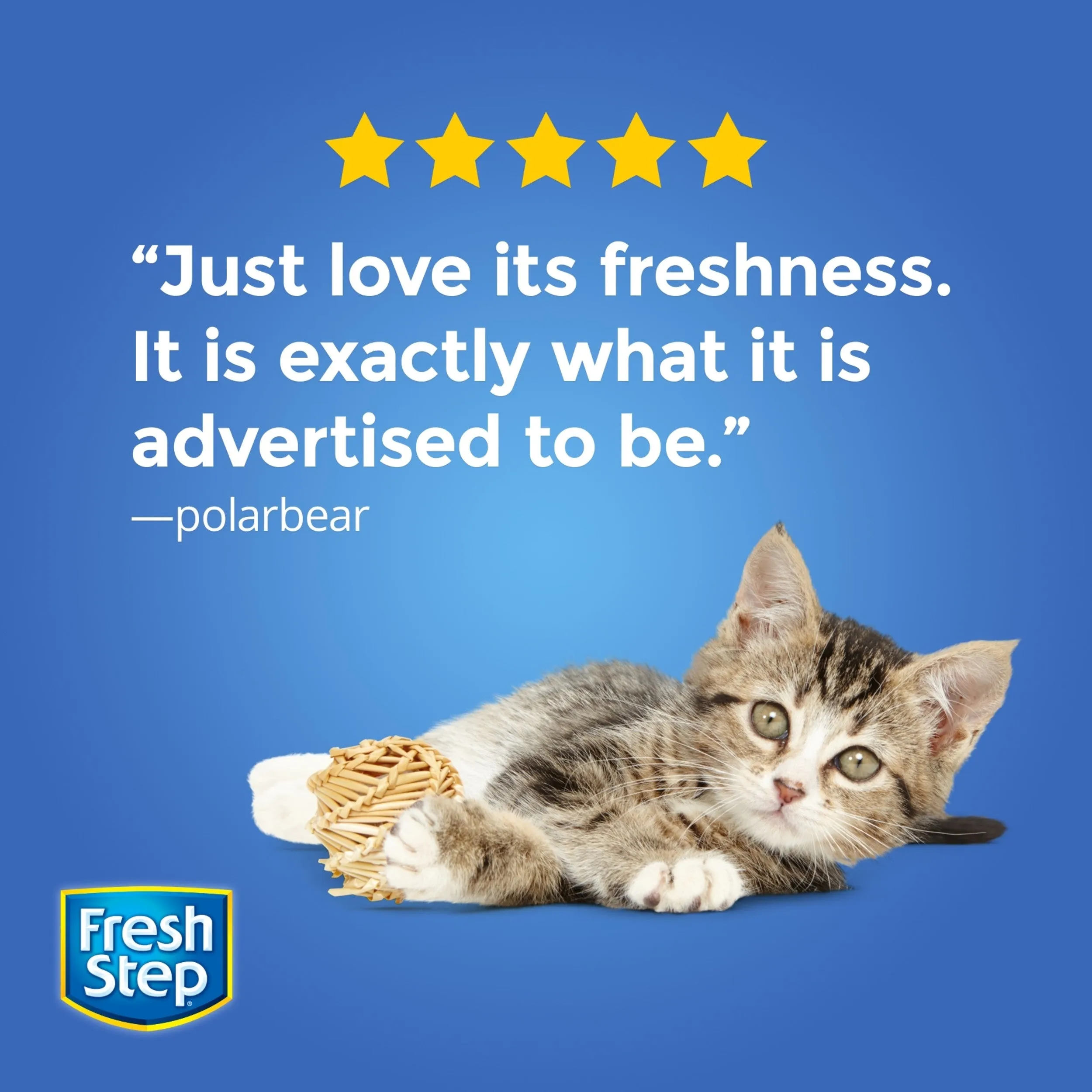 Fresh Step Extreme Scented Litter with the Power of Febreze, Clumping Cat Litter - Mountain Spring, 14 lbs