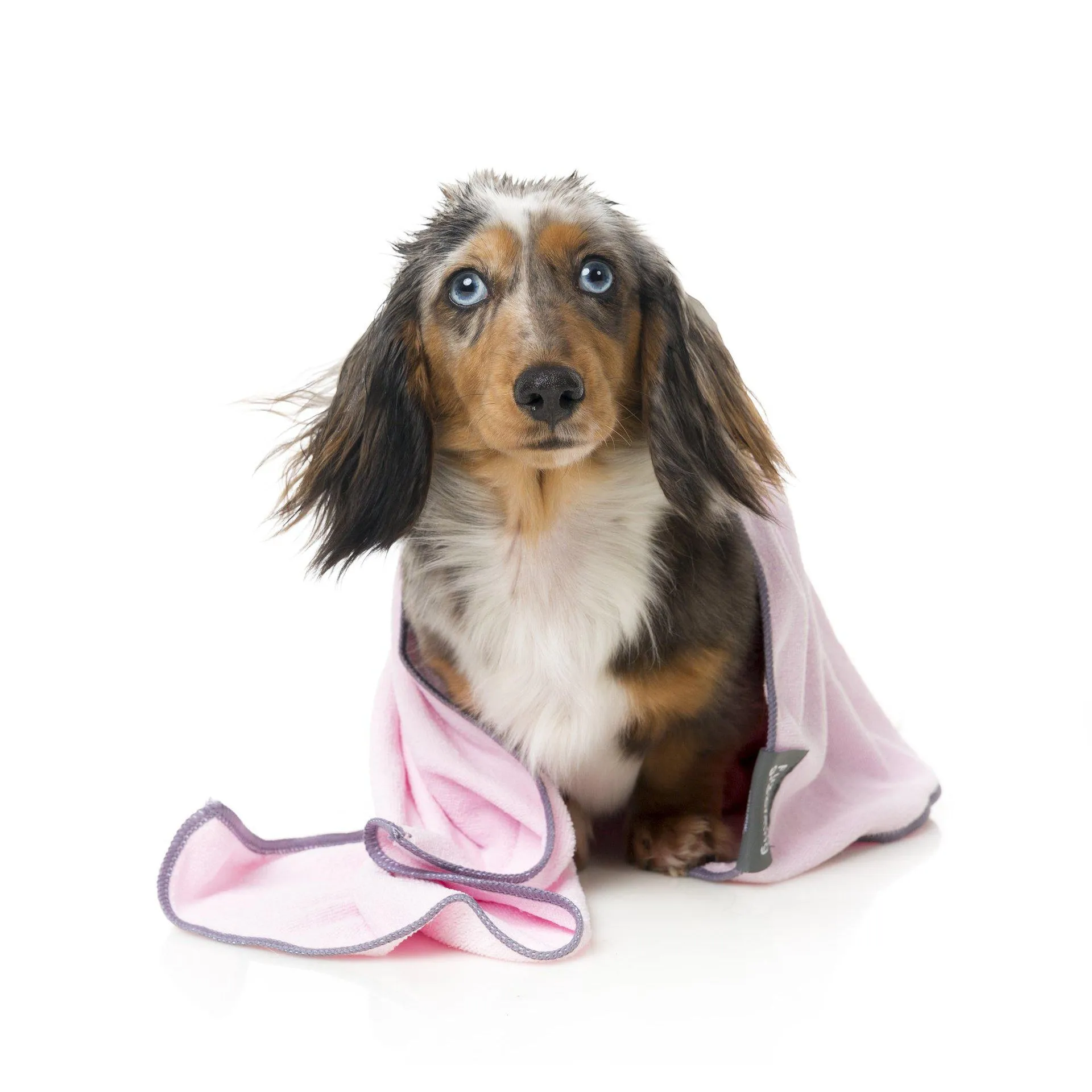 Fuzzyard | Microfibre Drying Towel For Puppies - Pink With Grey Trim