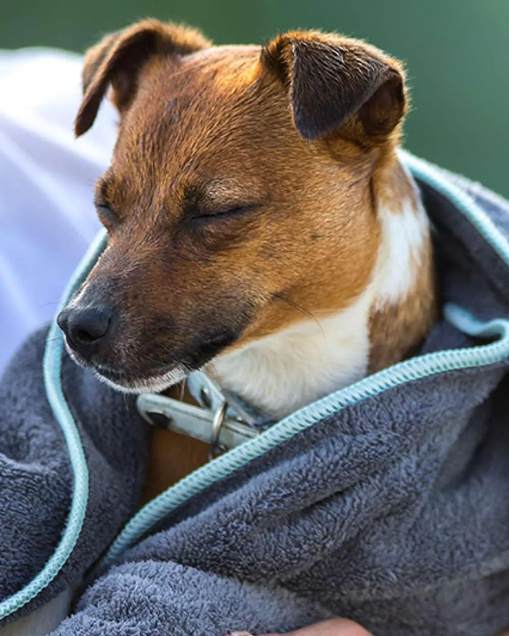 Henry Wag Microfibre Towel
