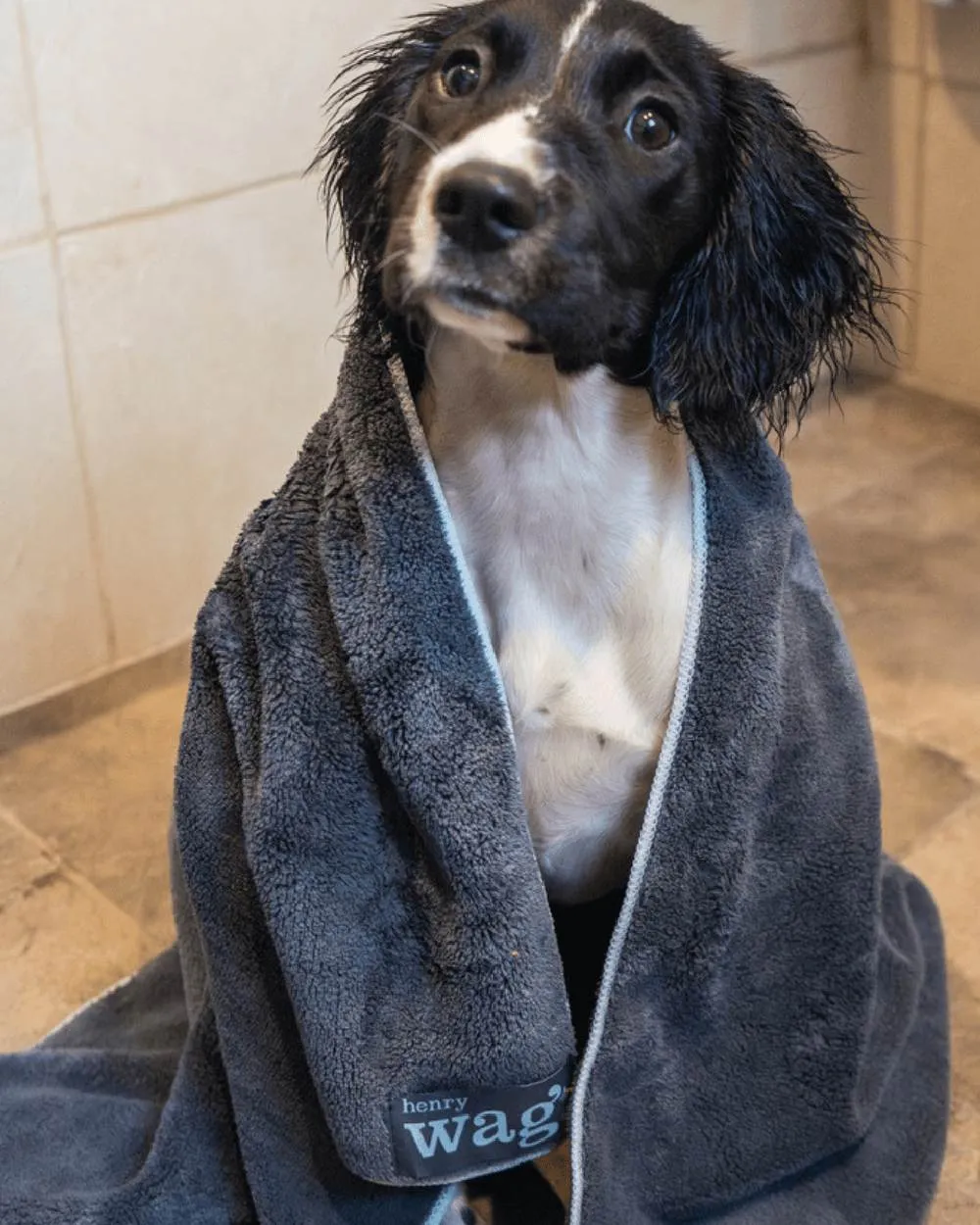 Henry Wag Microfibre Towel