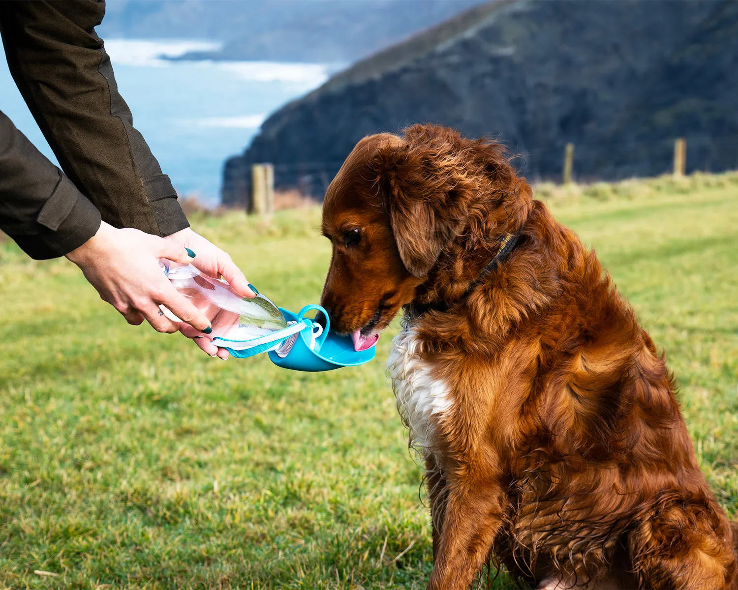 Henry Wag Pet Water Bottle With Leaf Bowl