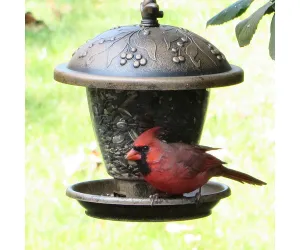 Holly Berry Gilded Chalet Feeder