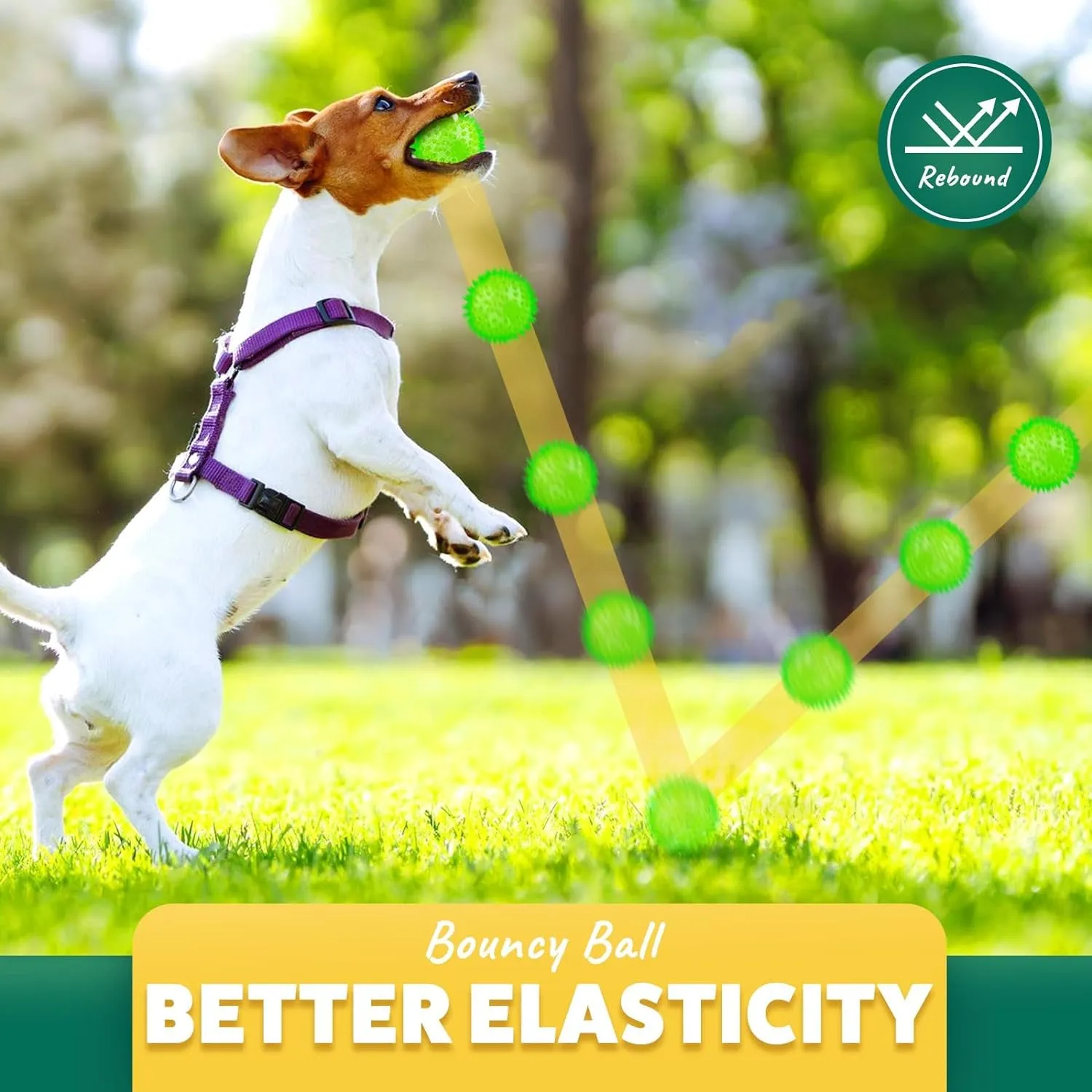 Interactive Balls for Dogs