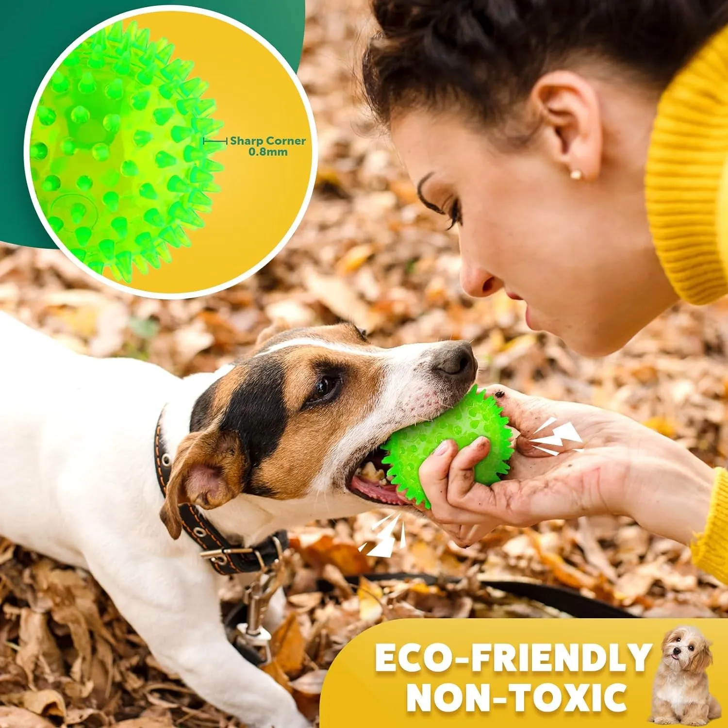 Interactive Balls for Dogs