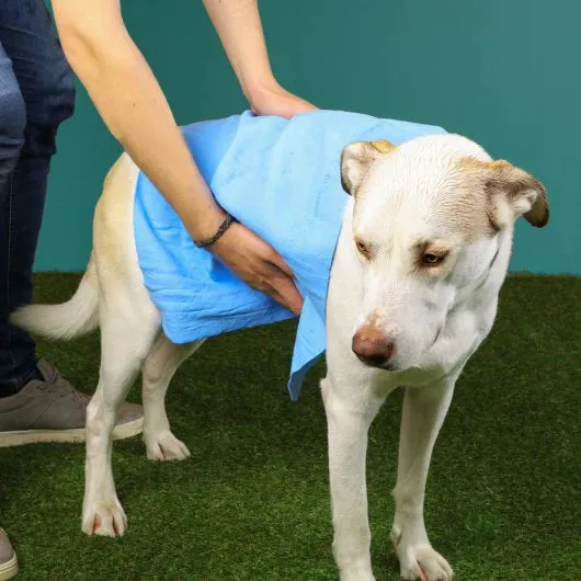 Just Chillin' Cooling Towel for Dogs