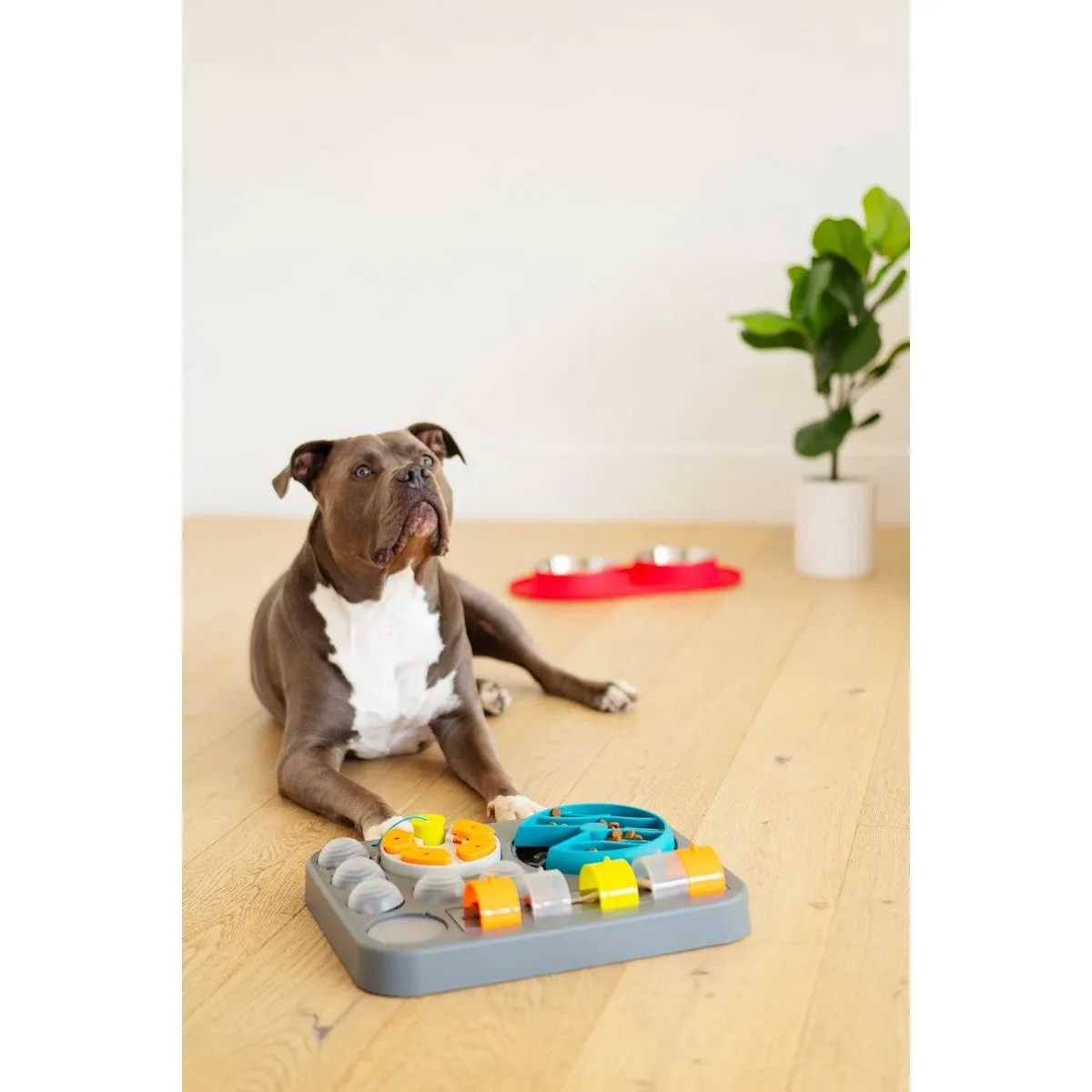 Messy Mutts Flip'n Slide Puzzler Large Dog Puzzle 16.5" x 13"