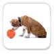 Omega Paw Tricky Treat Ball Treat & Food Dispensing Dog Toy