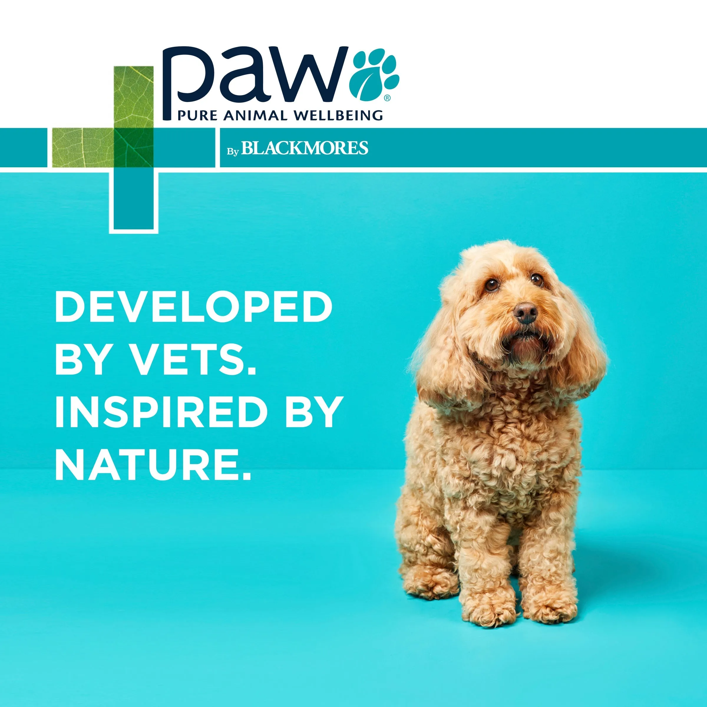 PAW by Blackmores Gentle Ear Cleaner for Cats and Dogs 120ml^^^