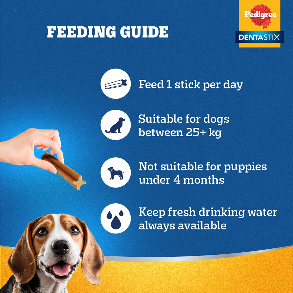 Pedigree Dentastix Oral Care for Adult (Large Breed of 25 kg ) Treats, Basil Teething Ring Chew Toy and Pet Vogue Bouncy Rubber Ball for Dogs Combo