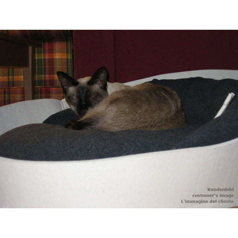 Pet Interiors ARENA Felt Designer Cat Bed