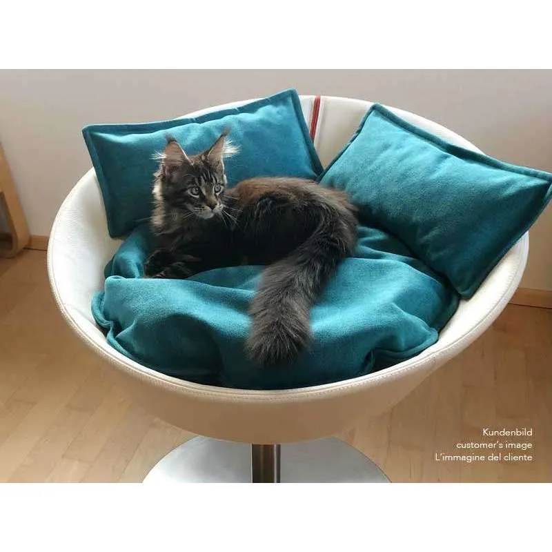 Pet Interiors Cosmo Buffalo Leather Deluxe Cat Bed