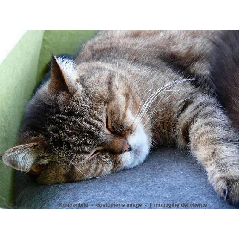 Pet Interiors Felt Cat Basket BOWL