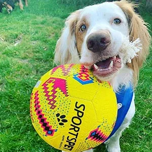 SportsPet Tough Durable Football with Rope