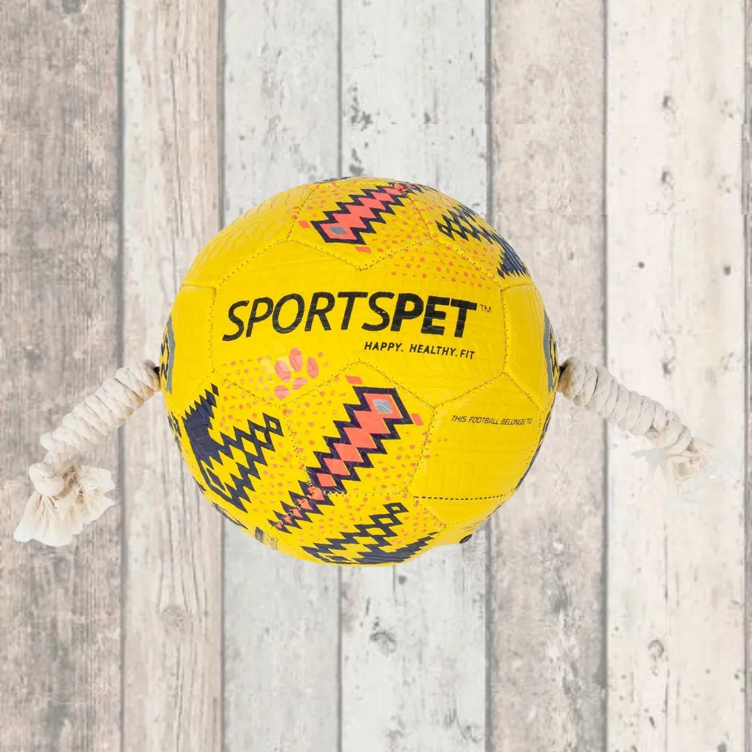 SportsPet Tough Durable Football with Rope