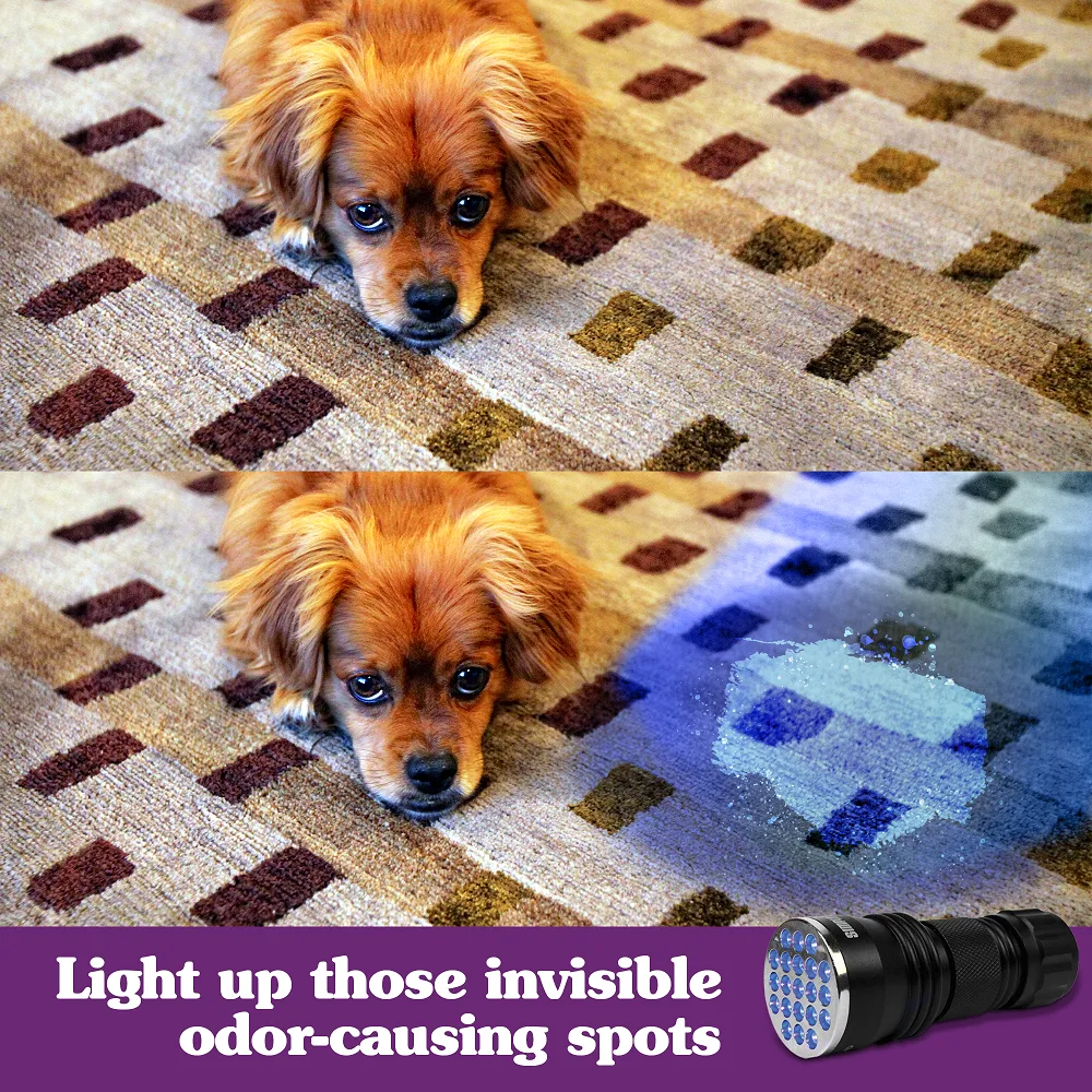 Spot Spotter UV Pet Urine Detector