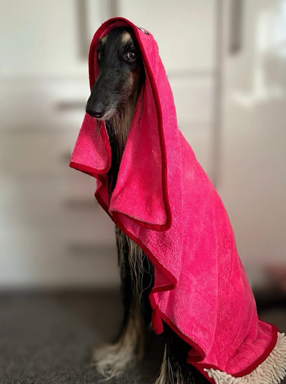 Strawberry Patch - Dog Towel   Carry Bag