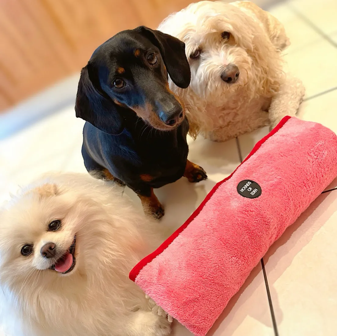 Strawberry Patch - Dog Towel   Carry Bag