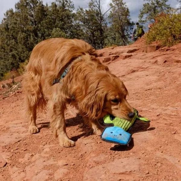 tender-tuffs Easy Grab Green Cactus Plush Dog Toy