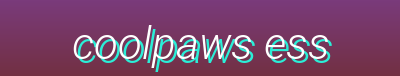 Pet Summer Comfort, Fun & Play, Outdoor Essentials, and Hygiene & Care Products for Your Pet